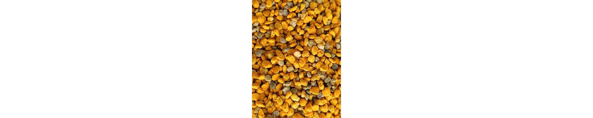 Pollen